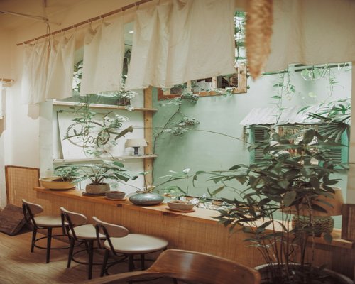 Relaxing indoor space with green plants and soft afternoon sunlight filtering through curtains